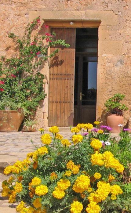 Finca Sa Cova Vella Manacor  Exterior photo