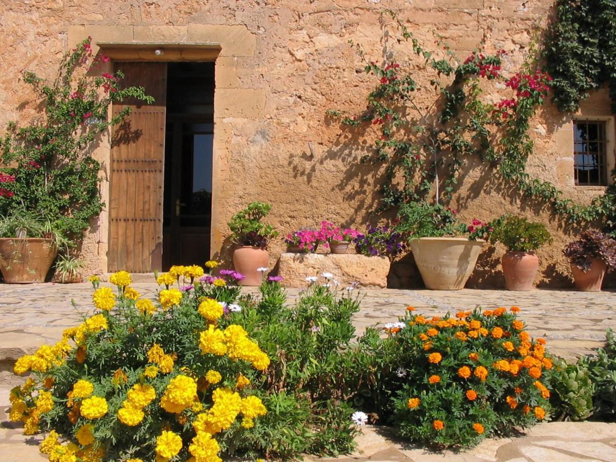 Finca Sa Cova Vella Manacor  Exterior photo